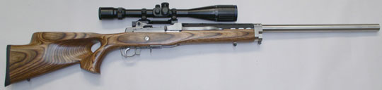 Ruger Mini 14 or Mini 30 Stainless steel Ranch rifle